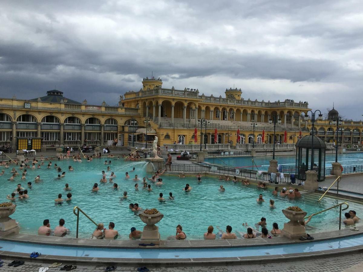Castle Court Apartment Budapeszt Zewnętrze zdjęcie